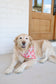 Strawberry Field Pet Bandana - L/XL