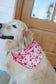 Strawberry Field Pet Bandana - S/M