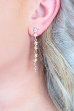 Load image into Gallery viewer, A Girl&#39;s Best Friend Earrings- Iridescent
